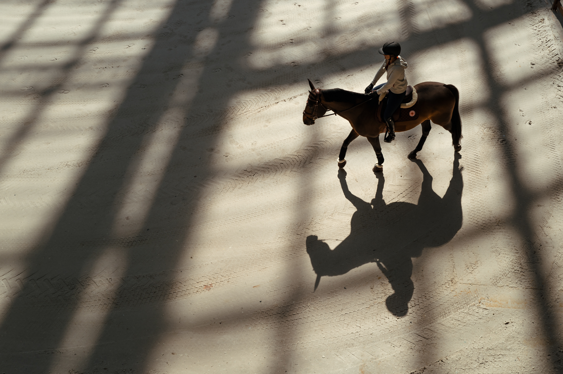 Overhead view of horse and rider walking beneath the Grand Palais glass dome, diamond-pattern shadows cast across the sand